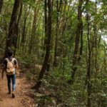 Tactical Navigation: Surviving Without GPS