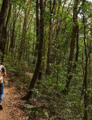 Tactical Navigation: Surviving Without GPS